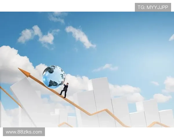 探索 zlks.biz：提升业务效率的最佳选择