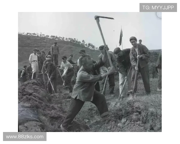 1916娱乐：带你回到那个充满激情的年代